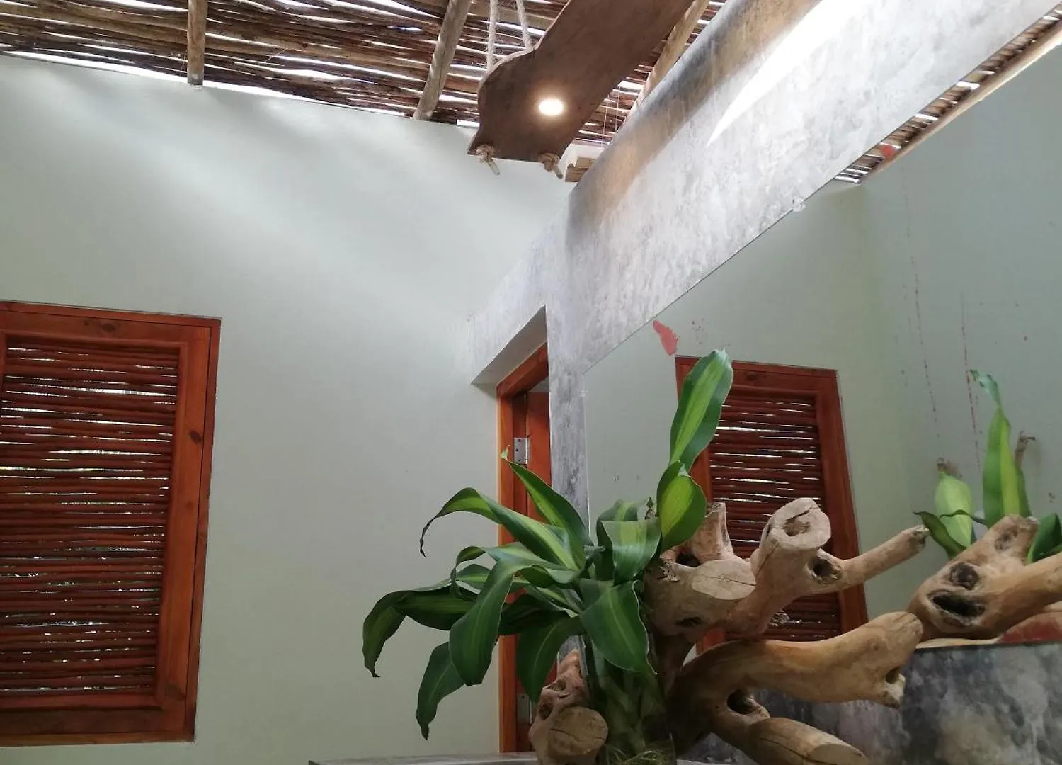 Aparthotel Residencia El Balata Las Terrenas Dominikana
